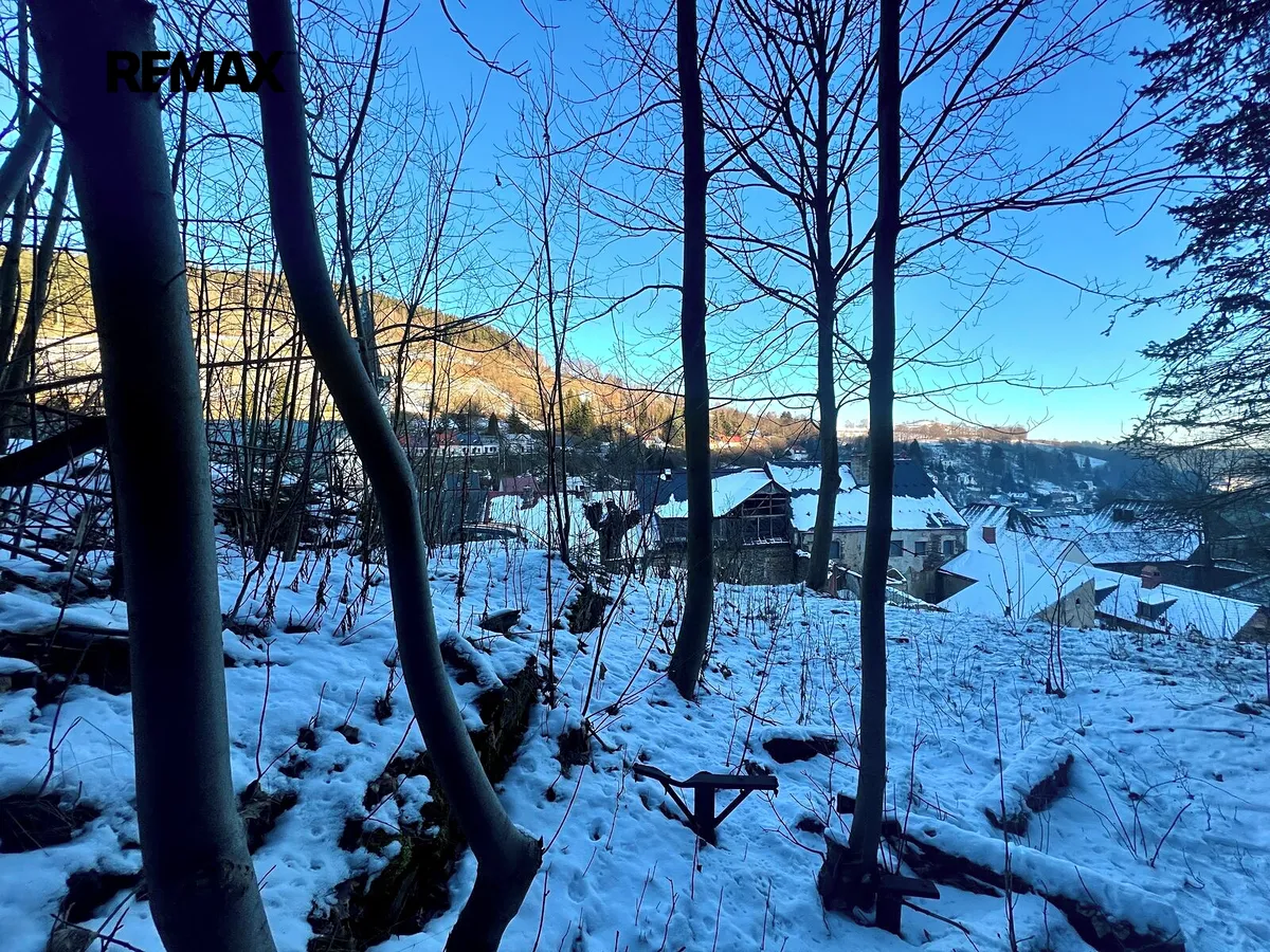 Fotka 12 z 13